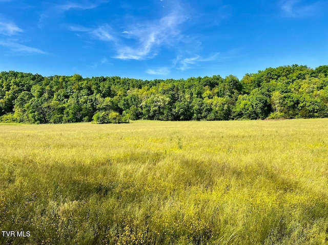4045 S Mohawk Rd, Midway, TN 37809 - photo 37