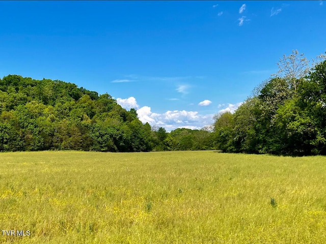 4045 S Mohawk Rd, Midway, TN 37809 - photo 38