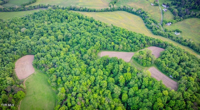 4045 S Mohawk Rd, Midway, TN 37809 - photo 39