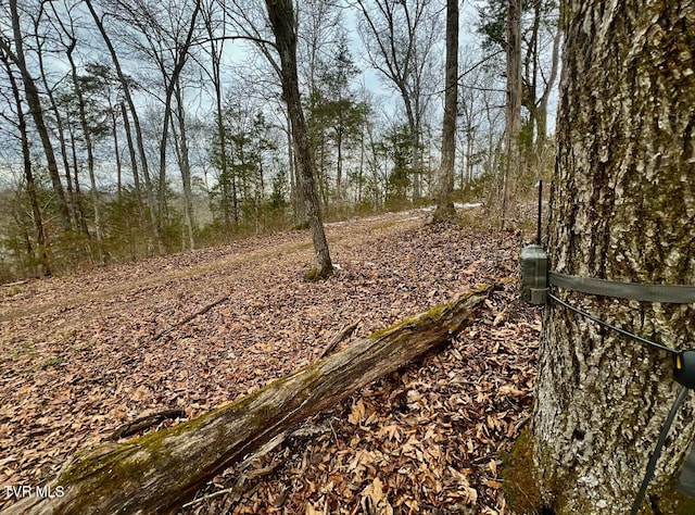 4045 S Mohawk Rd, Midway, TN 37809 - photo 41