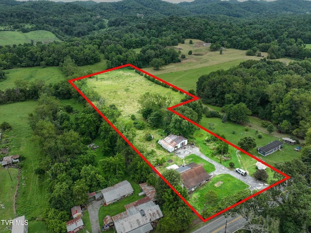 1403 Bristol Caverns Hwy, Bristol, TN 37620 - photo 2