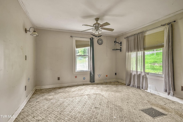 1403 Bristol Caverns Hwy, Bristol, TN 37620 - photo 17