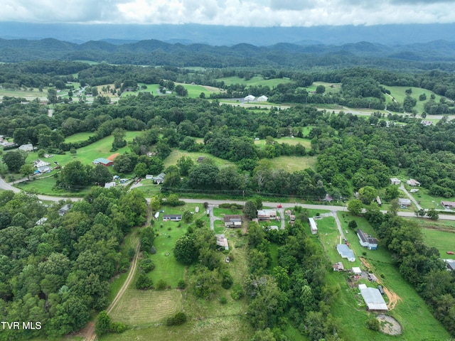 1403 Bristol Caverns Hwy, Bristol, TN 37620 - photo 30