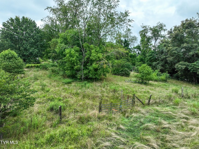 1403 Bristol Caverns Hwy, Bristol, TN 37620 - photo 31