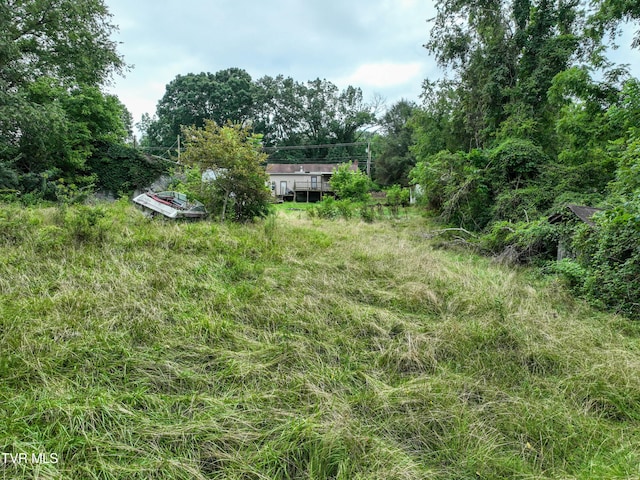 1403 Bristol Caverns Hwy, Bristol, TN 37620 - photo 32
