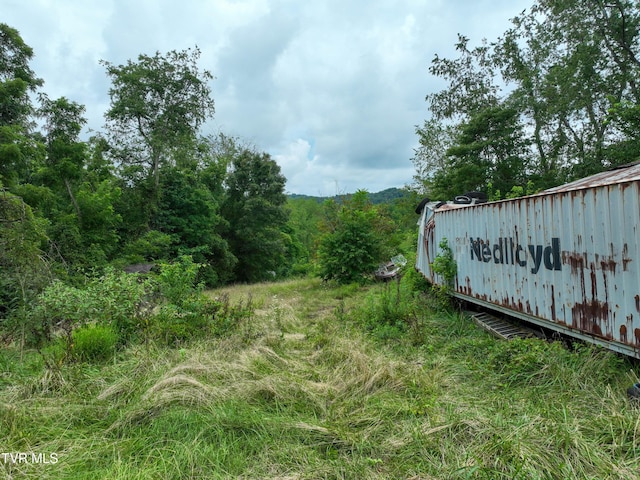 1403 Bristol Caverns Hwy, Bristol, TN 37620 - photo 35