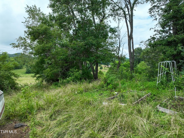 1403 Bristol Caverns Hwy, Bristol, TN 37620 - photo 36