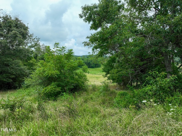 1403 Bristol Caverns Hwy, Bristol, TN 37620 - photo 37