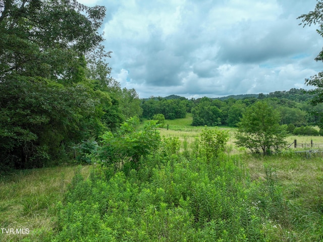 1403 Bristol Caverns Hwy, Bristol, TN 37620 - photo 38