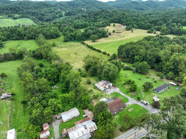 1403 Bristol Caverns Hwy, Bristol, TN 37620 - photo 39