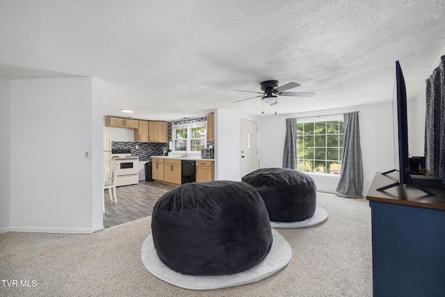 1434 New Hampshire Ave, Bristol, VA 24201 - photo 4