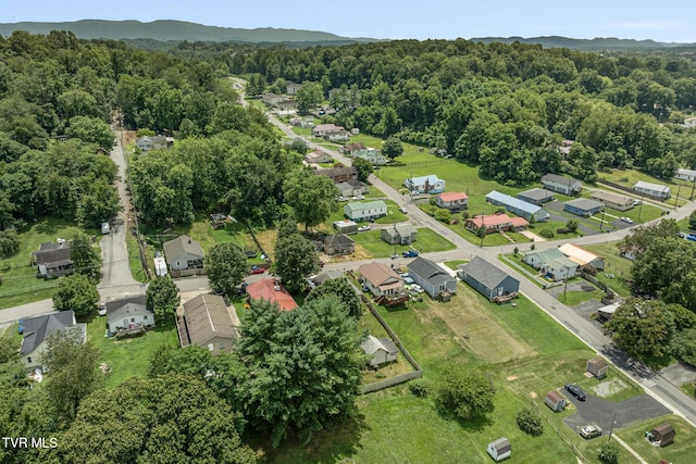 1434 New Hampshire Ave, Bristol, VA 24201 - photo 45