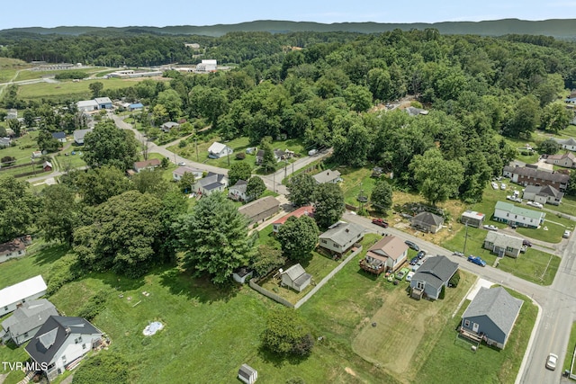 1434 New Hampshire Ave, Bristol, VA 24201 - photo 47