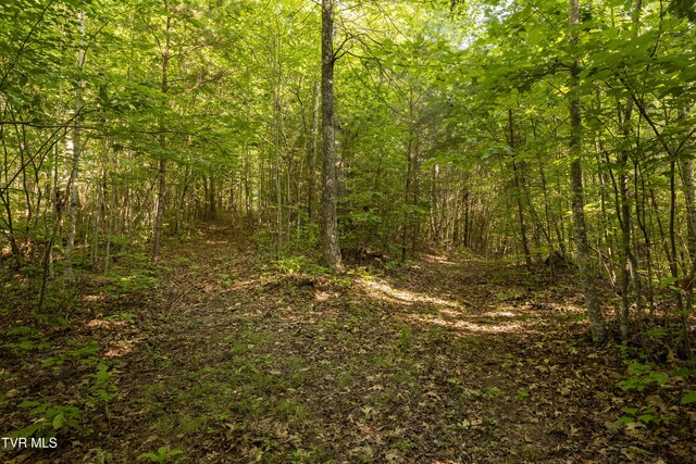 TBD Patty Branch Rd, Bristol, TN 37620 - photo 17
