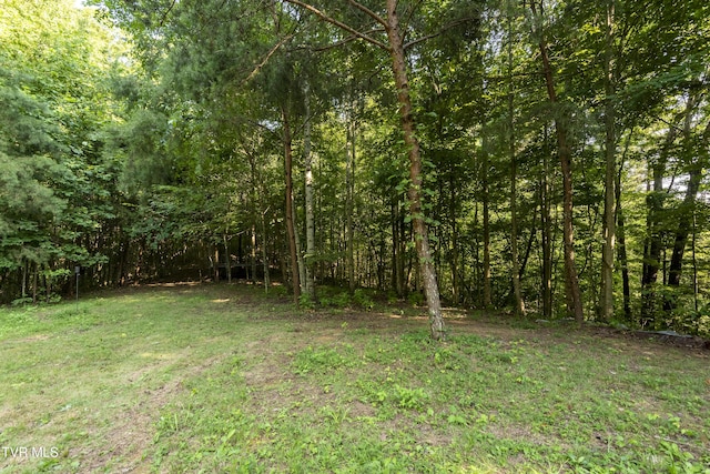TBD Patty Branch Rd, Bristol, TN 37620 - photo 12