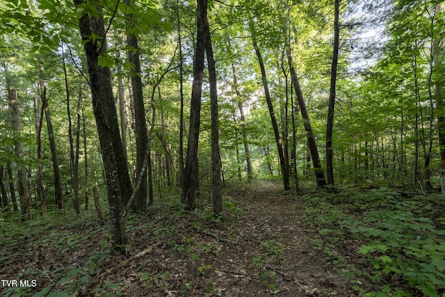 TBD Patty Branch Rd, Bristol, TN 37620 - photo 21