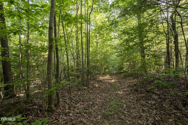 TBD Patty Branch Rd, Bristol, TN 37620 - photo 23
