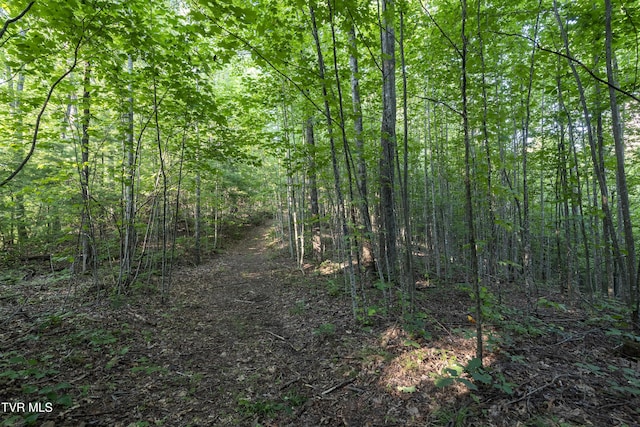 TBD Patty Branch Rd, Bristol, TN 37620 - photo 24