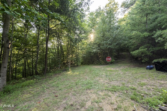 TBD Patty Branch Rd, Bristol, TN 37620 - photo 11