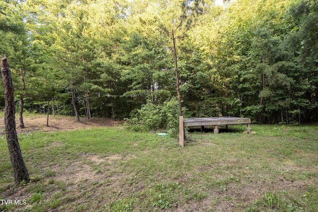 TBD Patty Branch Rd, Bristol, TN 37620 - photo 10