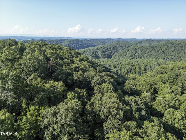TBD Patty Branch Rd, Bristol, TN 37620 - photo 29