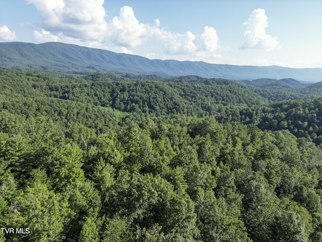 TBD Patty Branch Rd, Bristol, TN 37620 - photo 31