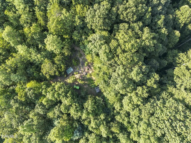 TBD Patty Branch Rd, Bristol, TN 37620 - photo 3