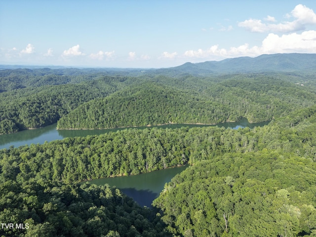 TBD Patty Branch Rd, Bristol, TN 37620 - photo 27
