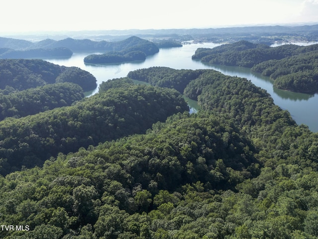 TBD Patty Branch Rd, Bristol, TN 37620 - photo 28