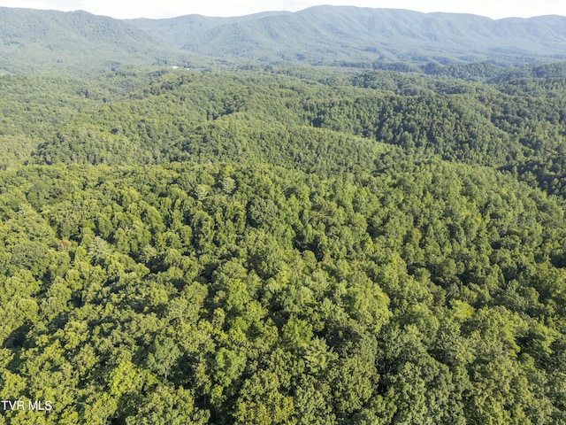 TBD Patty Branch Rd, Bristol, TN 37620 - photo 1