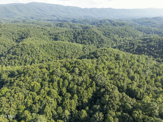 TBD Patty Branch Rd, Bristol, TN 37620 - photo 32
