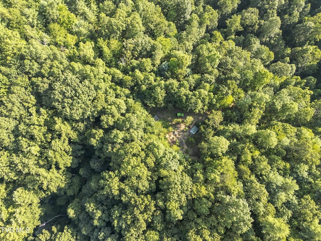 TBD Patty Branch Rd, Bristol, TN 37620 - photo 2