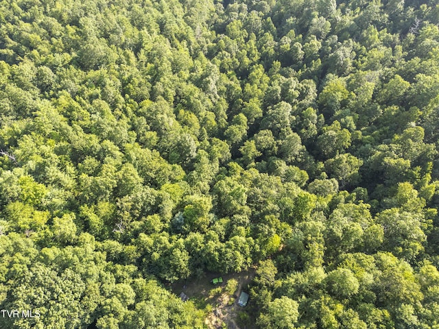 TBD Patty Branch Rd, Bristol, TN 37620 - photo 4