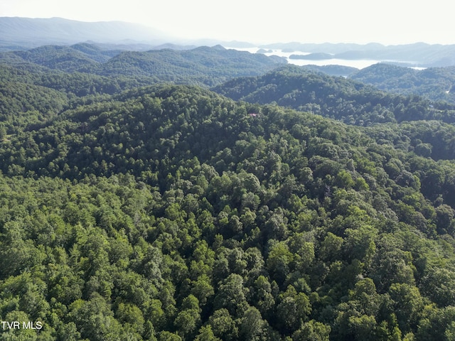 TBD Patty Branch Rd, Bristol, TN 37620 - photo 33