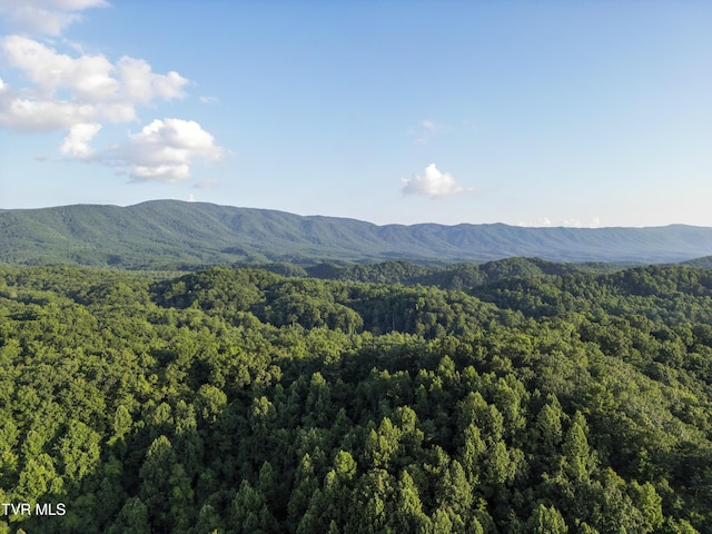 TBD Patty Branch Rd, Bristol, TN 37620 - photo 34