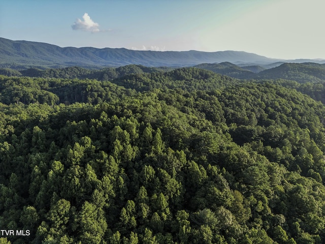 TBD Patty Branch Rd, Bristol, TN 37620 - photo 35