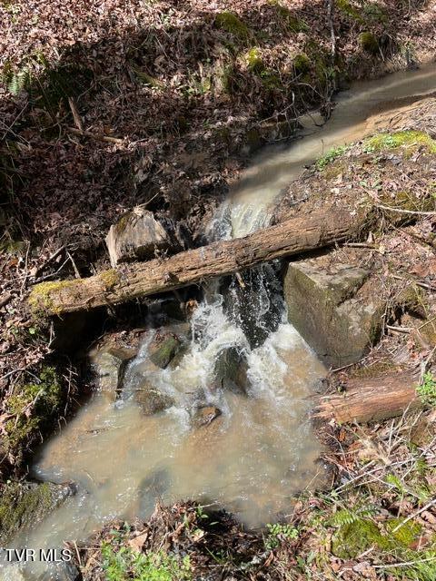 TBD Patty Branch Rd, Bristol, TN 37620 - photo 39