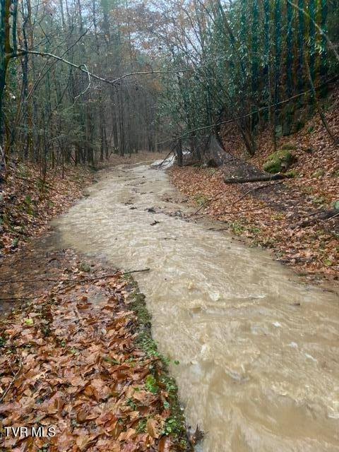 TBD Patty Branch Rd, Bristol, TN 37620 - photo 38