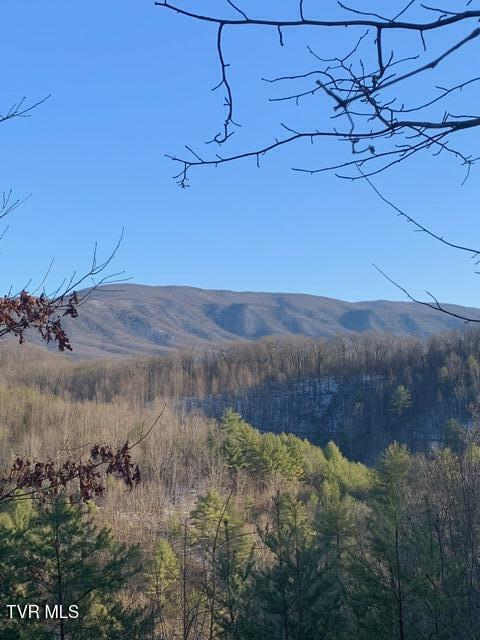 TBD Patty Branch Rd, Bristol, TN 37620 - photo 43