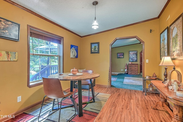 258 Wesley Dr, Piney Flats, TN 37686 - photo 15