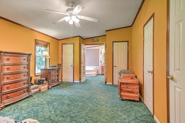 258 Wesley Dr, Piney Flats, TN 37686 - photo 24