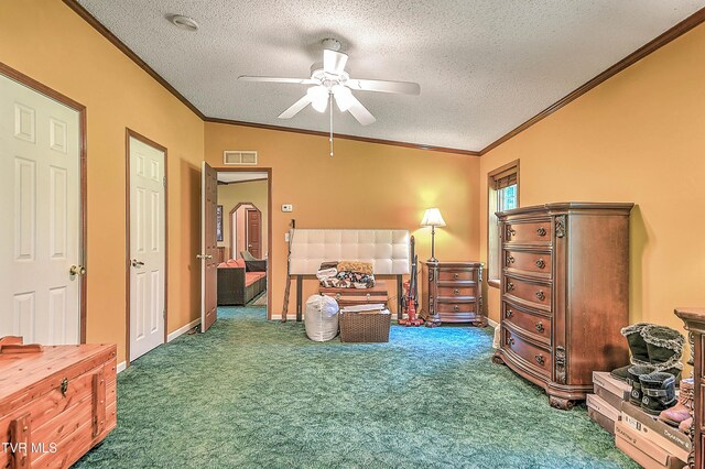 258 Wesley Dr, Piney Flats, TN 37686 - photo 26