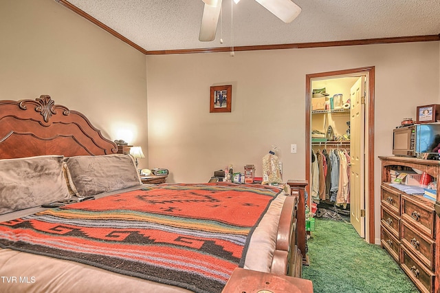 258 Wesley Dr, Piney Flats, TN 37686 - photo 31