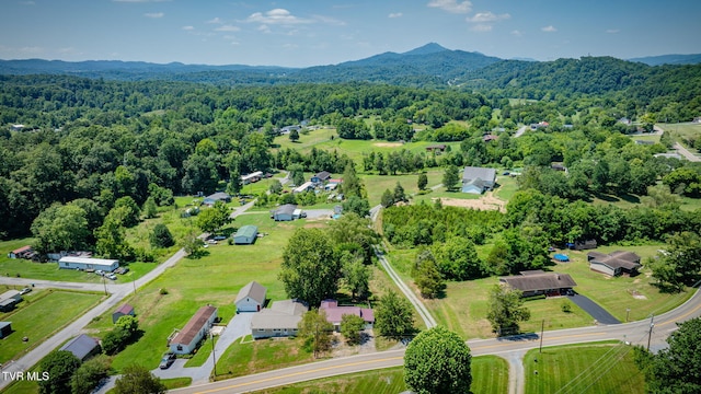 5821 Lone Star Rd, Kingsport, TN 37660 - photo 33