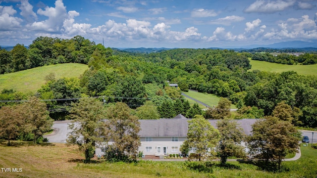 516 Grays Pointe Ct, Johnson City, TN 37615 - photo 20