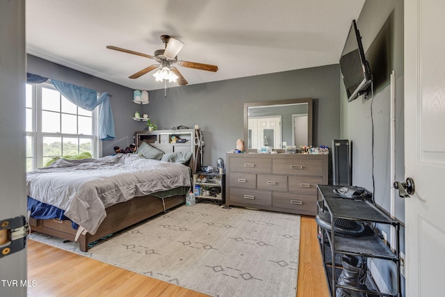 516 Grays Pointe Ct, Johnson City, TN 37615 - photo 12