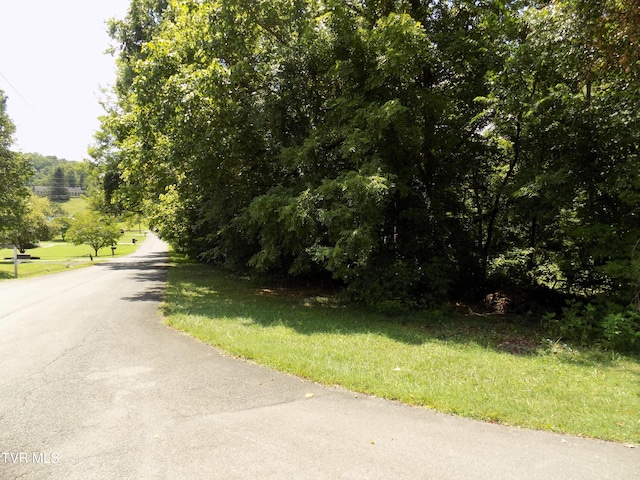 TBD Lakeshore Cir, Rogersville, TN 37857 - photo 1