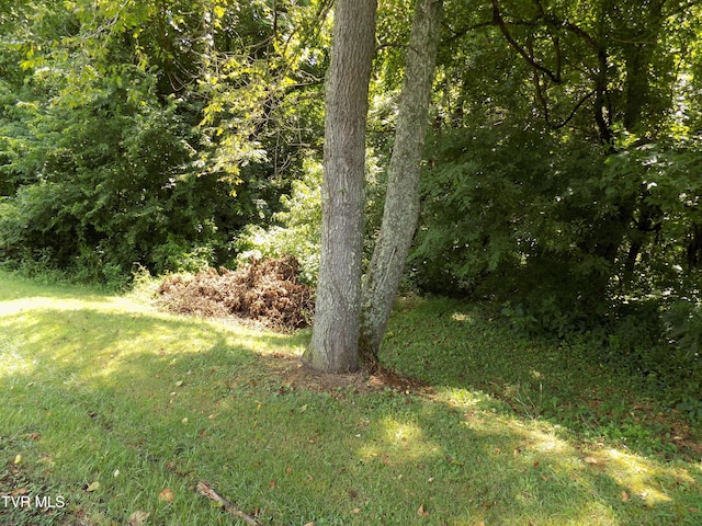 TBD Lakeshore Cir, Rogersville, TN 37857 - photo 2