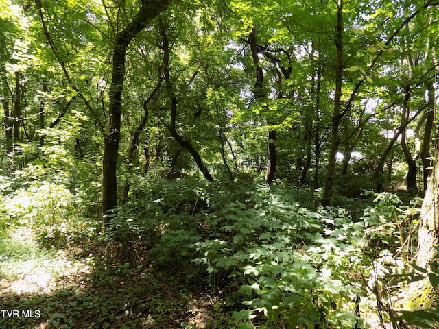 TBD Lakeshore Cir, Rogersville, TN 37857 - photo 3