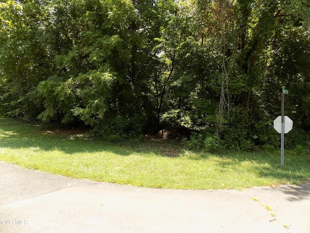 TBD Lakeshore Cir, Rogersville, TN 37857 - photo 11